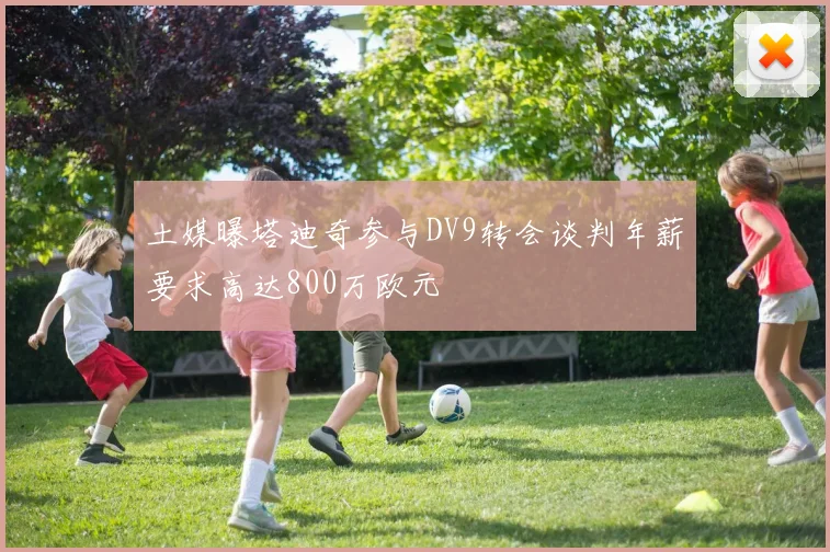 土媒曝塔迪奇参与DV9转会谈判年薪要求高达800万欧元